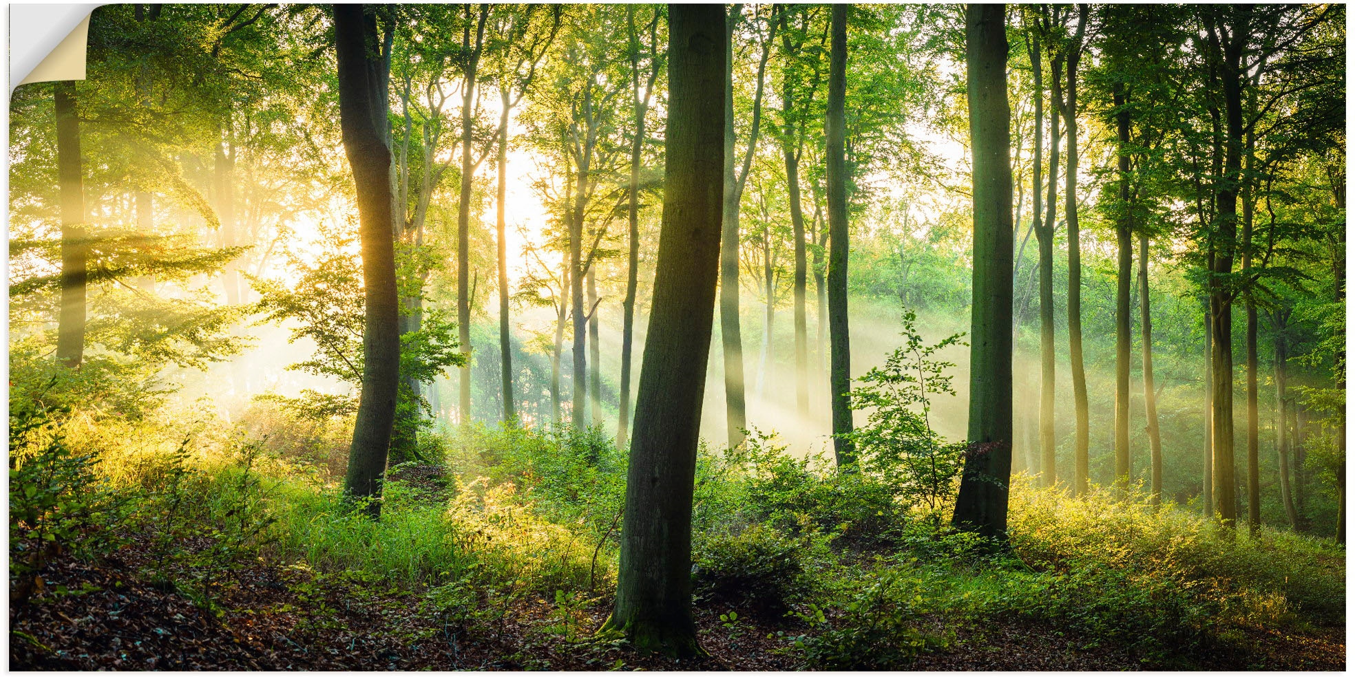 Artland Wandbild "Herbst im Wald II", Waldbilder, (1 St.), als Alubild, Outdoorbild, Leinwandbild, Poster, Wandaufkleber