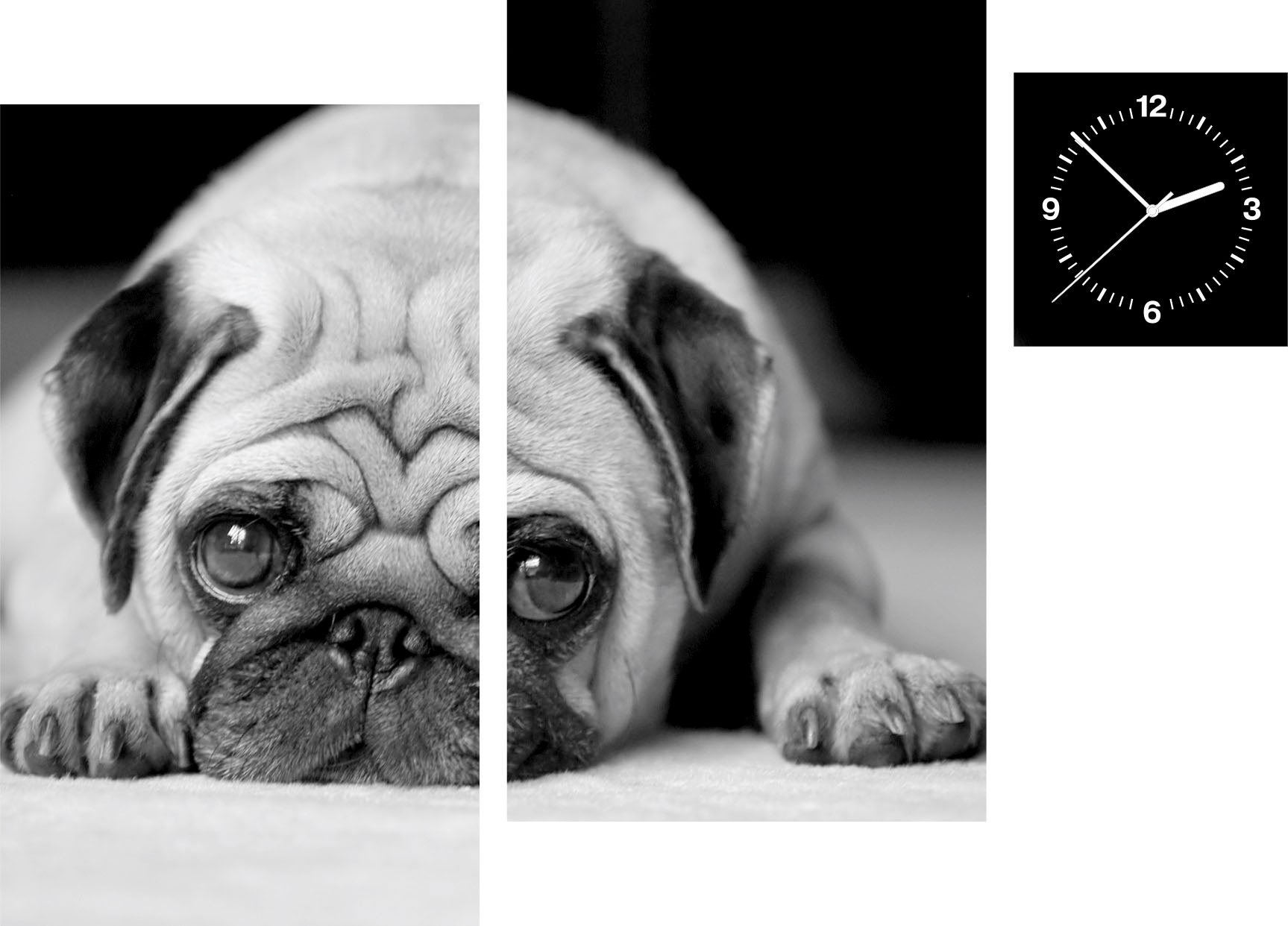 Conni Oberkircher´s Bild »Lovable - kaufen (Set, Hunde, Mops«, dekorativer Haustier, 3), mit Tierfreund BAUR (Set | Uhr