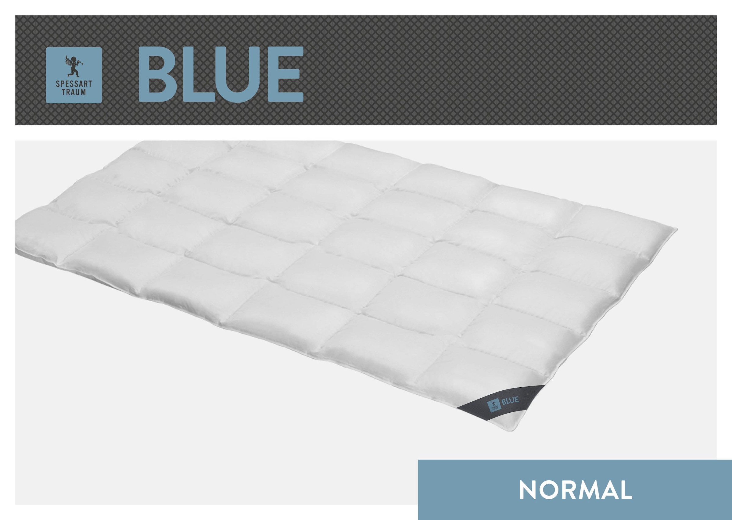 SPESSARTTRAUM Daunenbettdecke "Blue" normal Füllung 60Daunen40Federn 1 Stk. tlg. hergestellt in Deutschland, allergikerfreundlich