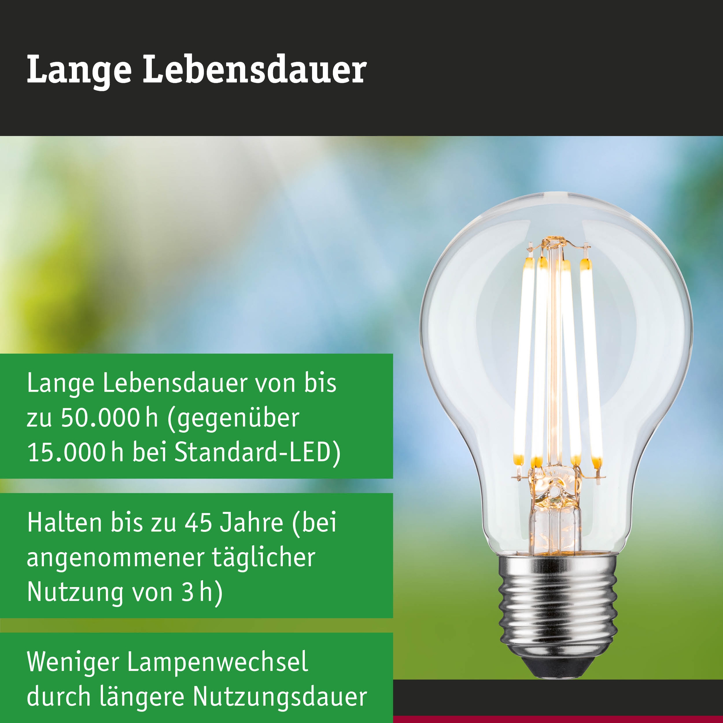 Paulmann LED-Leuchtmittel »Efficient-Line Filament 230V LED Birne E27 806lm 4,3W 3000K dimmb.Klar« E27 1 Stk. Warmweiß