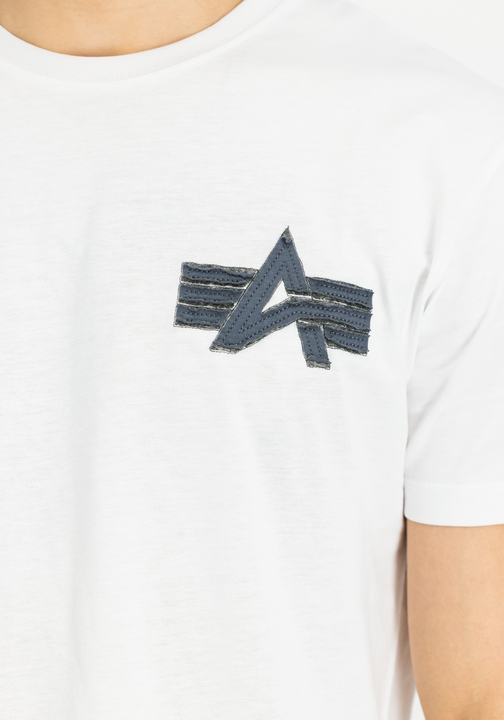 Alpha Industries T-Shirt »Coach T-Shirt Back Embroidery T-Shirt«