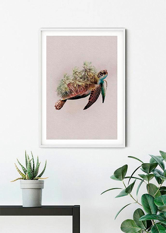 Thumbnail - Komar Bild "Animals Paradise Turtle" Tiere 1 Stk. tlg. Wandbild zur Dekoration - ohne Rahmen