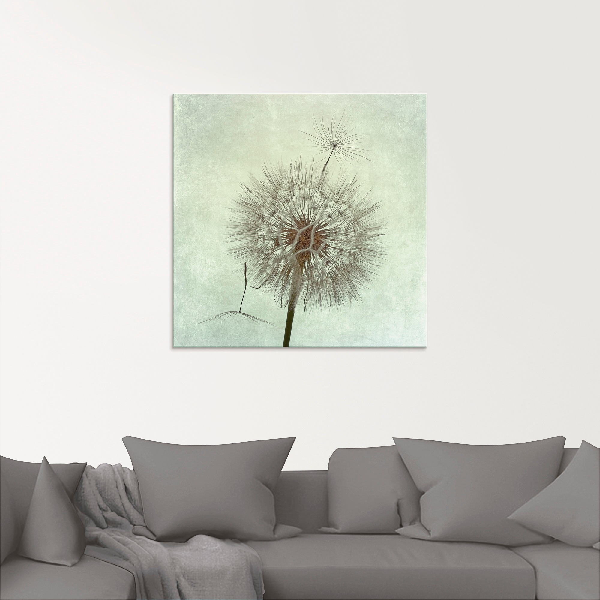 Artland Glasbild "Pusteblume II", Blumen, (1 St.), in verschiedenen Größen günstig online kaufen