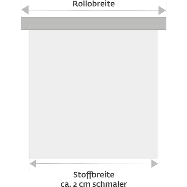 Bohren, »Miami«, Elektrisches | sunlines Rollo Sichtschutz, mit freihängend auf BAUR Lichtschutz, Rechnung