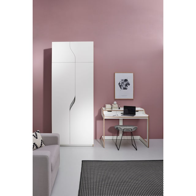 Müller SMALL LIVING Kleiderschrank »PLANE Ausstattung Nr. 3«, Inklusive  einer innenliegenden Tür, einer Kleiderstange und 12 Fächern | BAUR