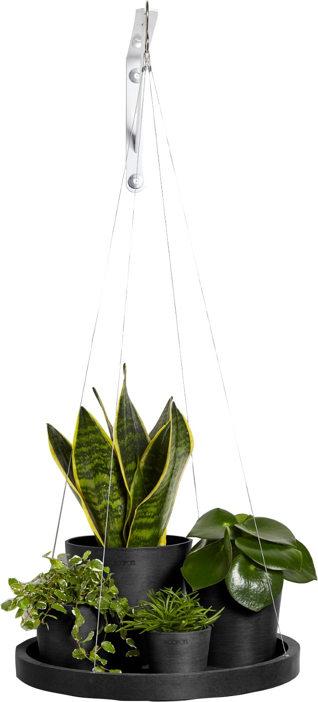 ECOPOTS Blumentopfuntersetzer »HANGING SAUCER Dark Grey«, BxTxH: 36x36x3 cm