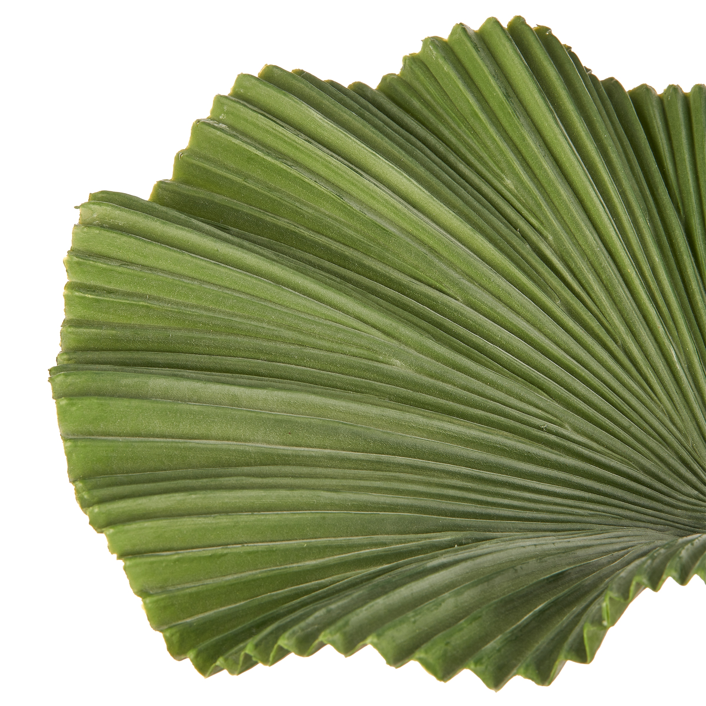Creativ green Kunstpalme »Strahlenpalme« im modernen Design