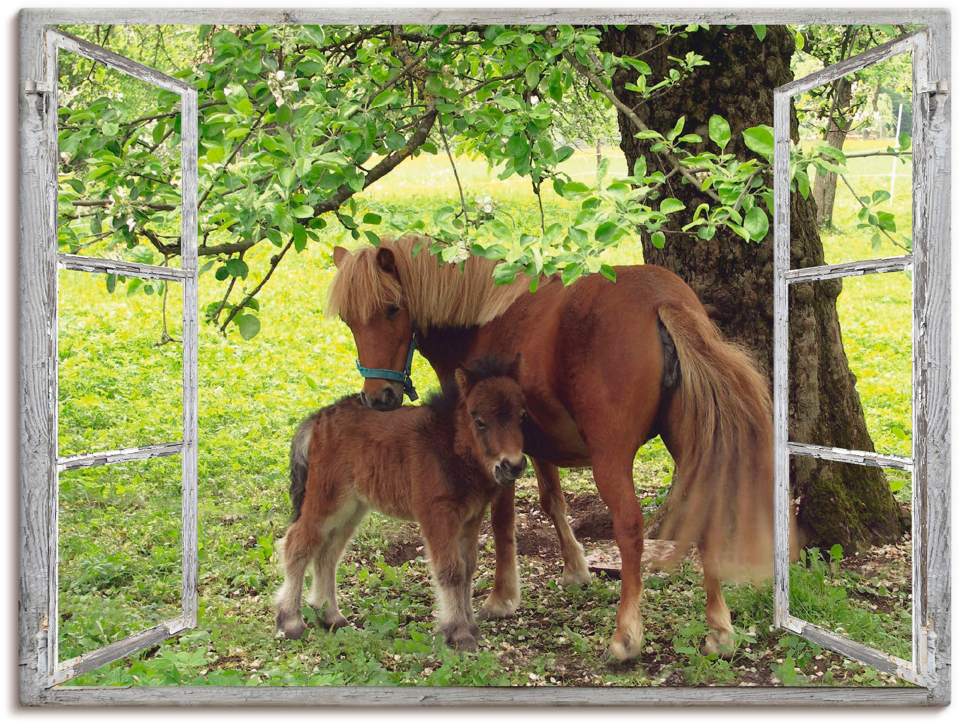 Artland Wandbild "Fensterblick - Pony mit Kind", Haustiere, (1 St.), als Leinwandbild, Poster, Wandaufkleber in verschie