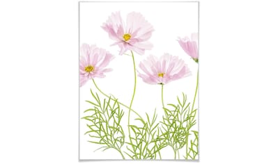 Poster »Sommerblume«, Blumen, (1 St.)
