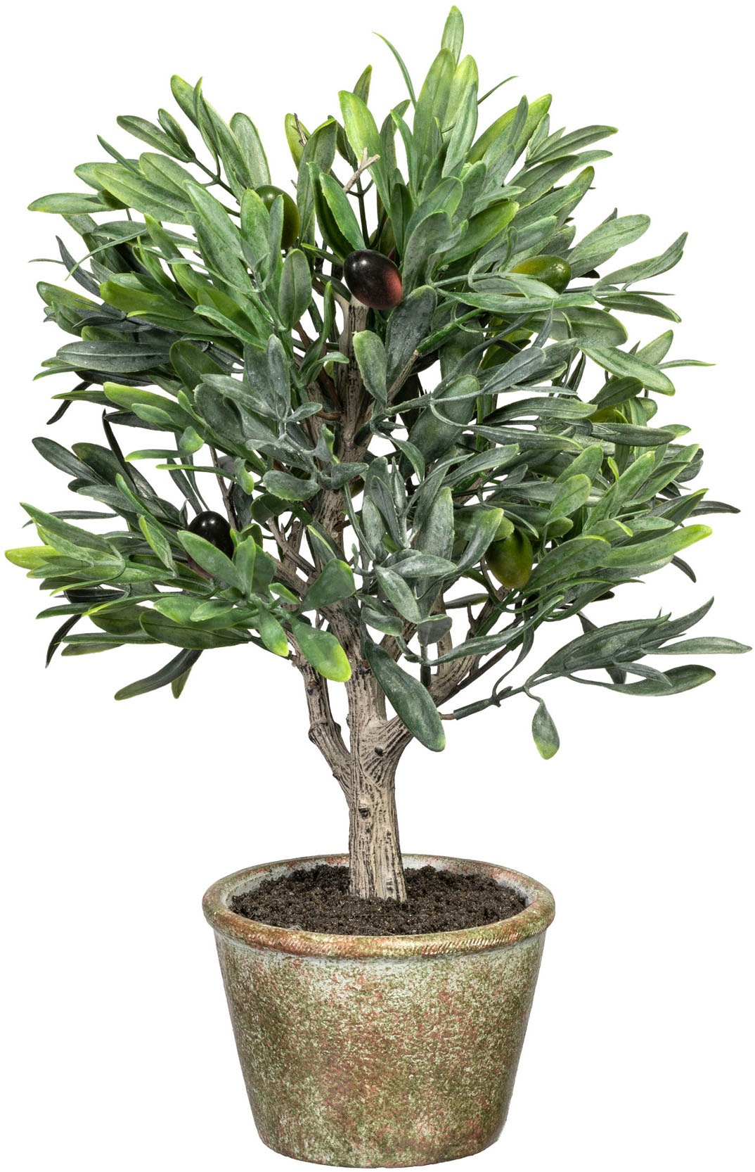 Creativ green Kunstpflanze "Olive", mit detailgetreuer Gestaltung günstig online kaufen