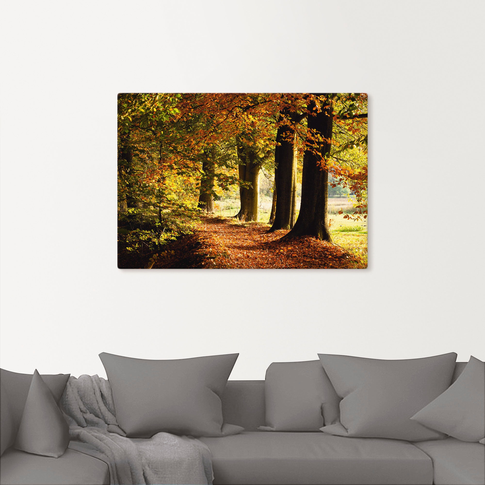 Artland Leinwandbild "Herbstfarben" Bäume 1 Stk. tlg. als Alubild, Outdoorb günstig online kaufen