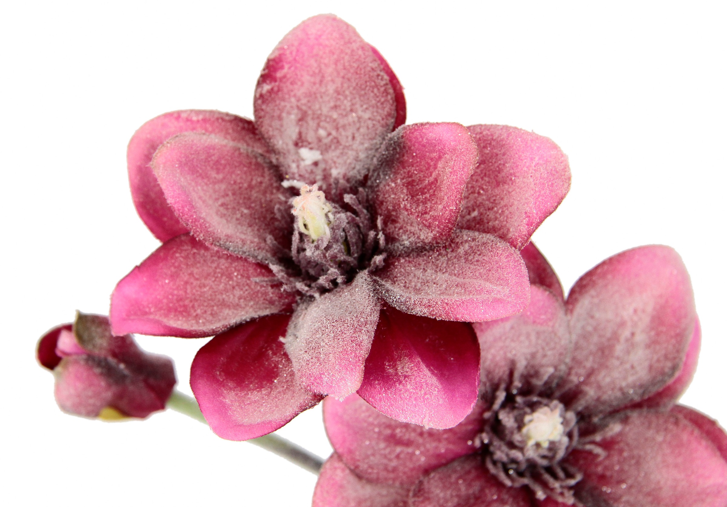 Kunstblume I.GE.A. "Magnolie", rot, B:13cm H:40cm L:10cm, Obermaterial: 90% Polyester, 10% Kunststoff, Kunstpflanzen, Künstlicher Magnolienzweig, 3er Set 2