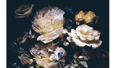 Leonique Acrylglasbild »Blüten« kaufen