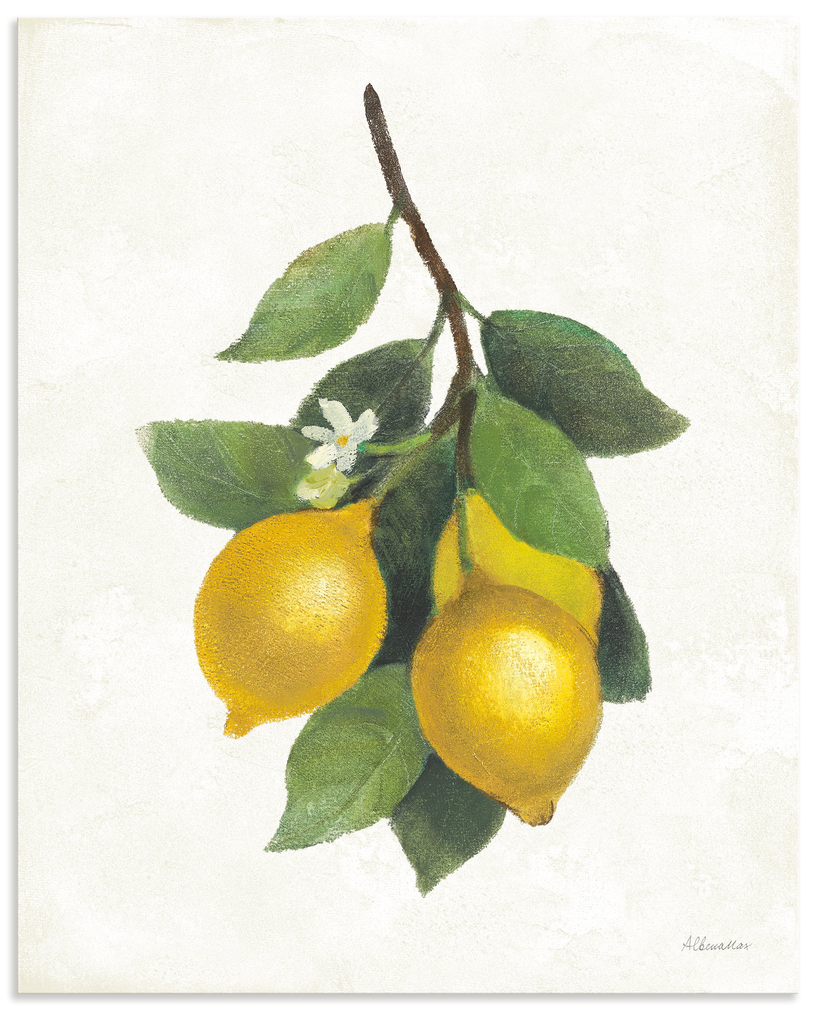 Artland "Lemon Branch III" Pflanzenbilder 1 Stk. tlg. als Alubild, Leinwandbild, Poster, Wandaufkleber in verschied. Größen