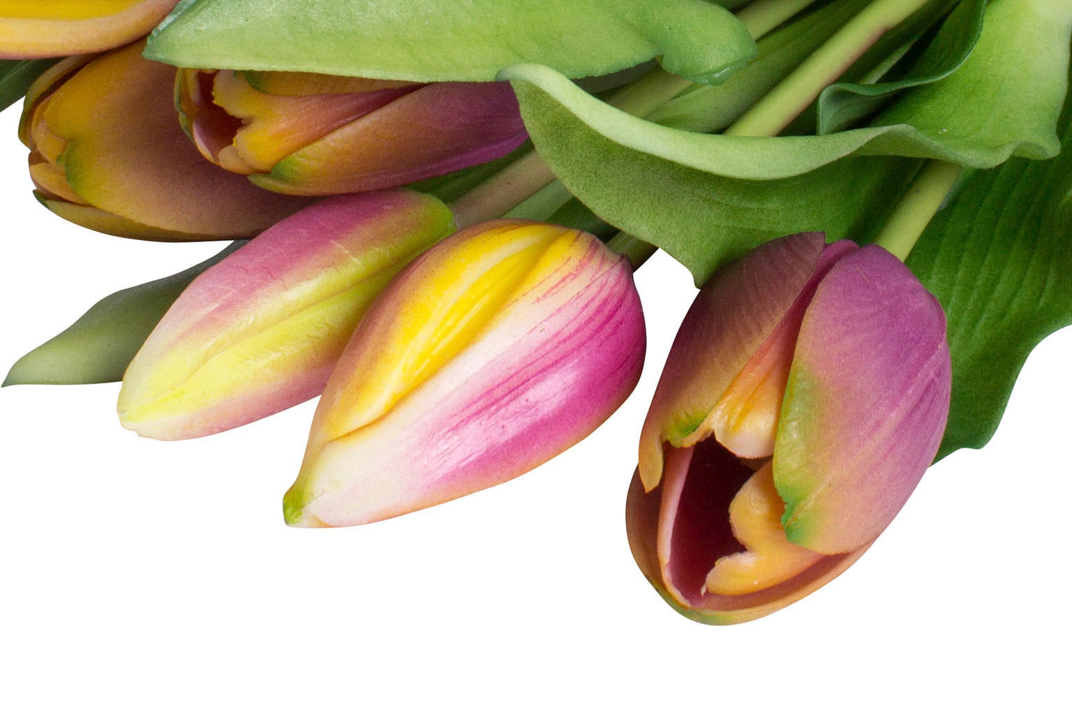 Botanic-Haus Kunstblume »Willa«, Tulpenbündel im 7er-Set | BAUR