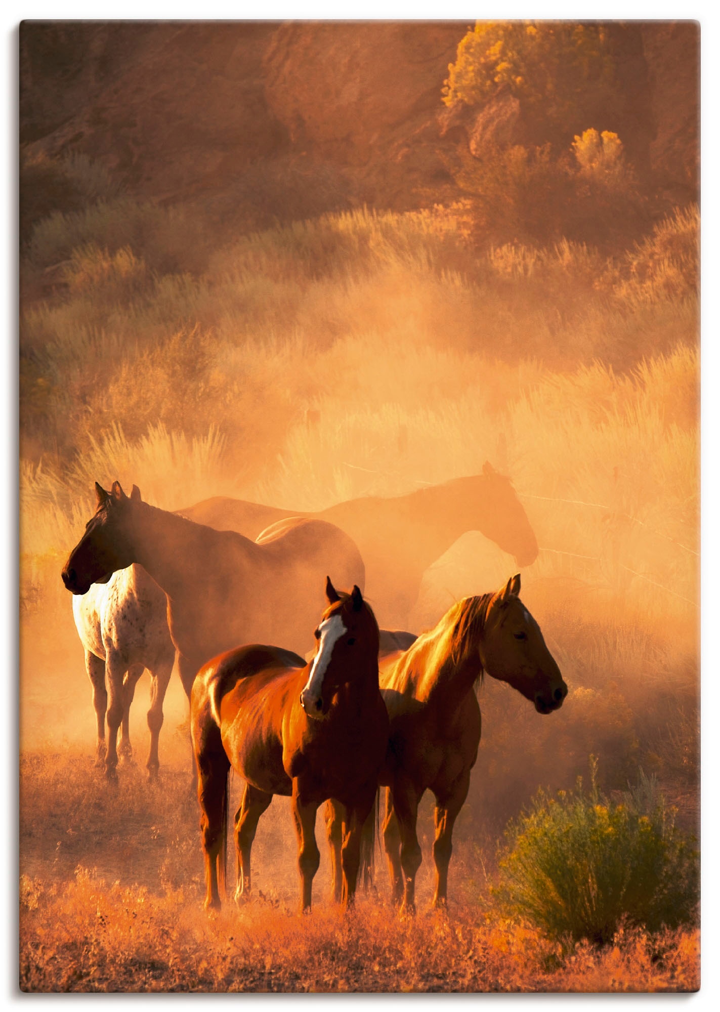 Artland Leinwandbild "Friedliche Versammlung - Pferde", Haustiere, (1 St.), auf Keilrahmen gespannt
