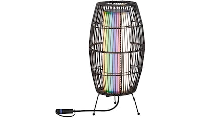 Paulmann LED Gartenleuchte »Basket«, 1 flammig-flammig, Outdoor Plug & Shine Basket 40... kaufen