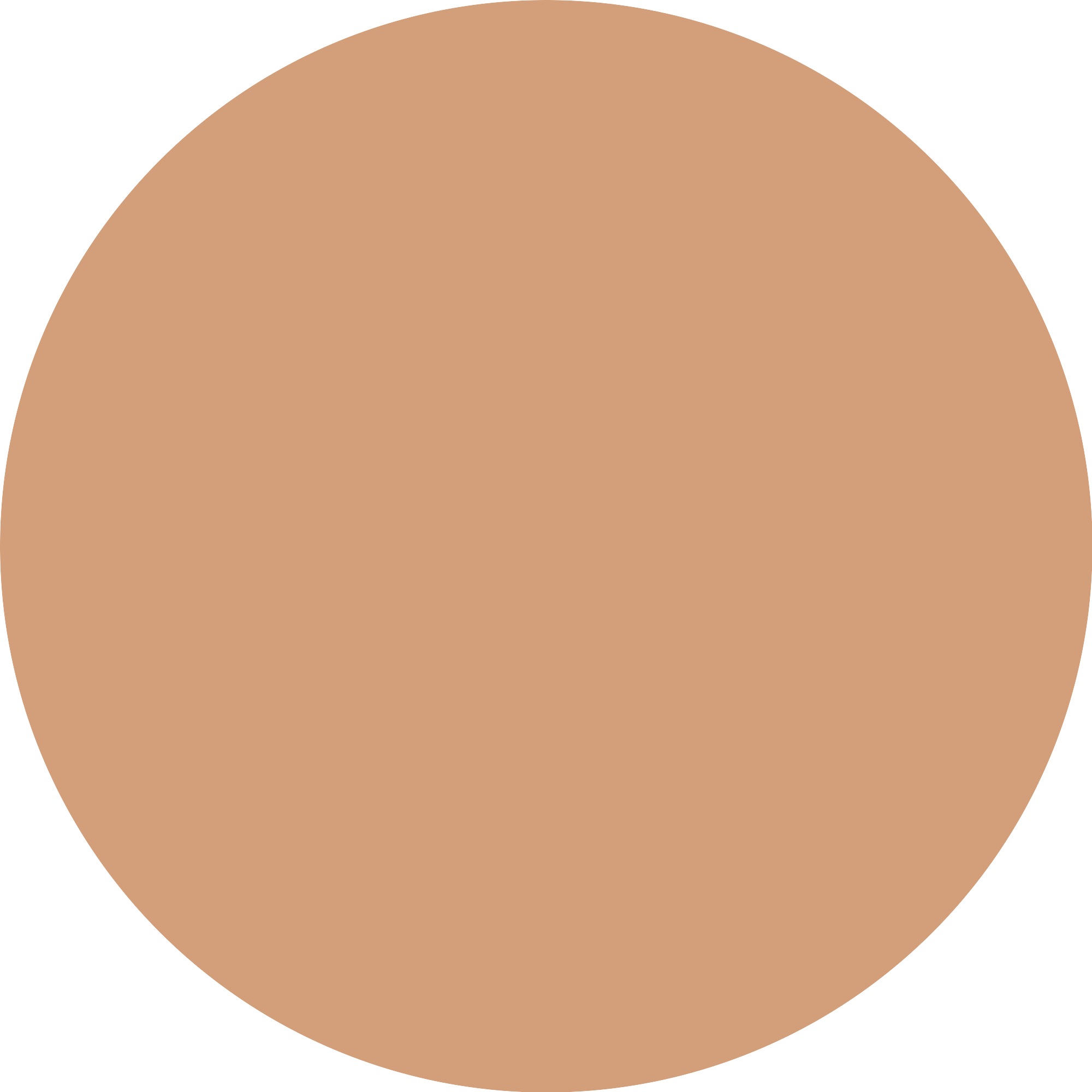 Catrice Foundation »Skin Like Luminous Foundation«