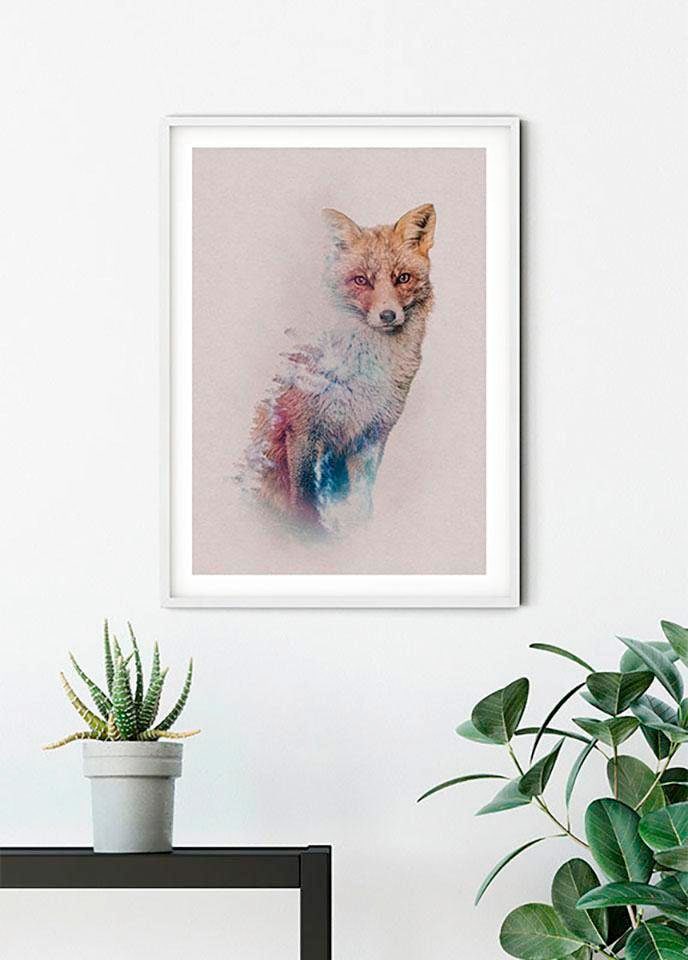 Komar Poster »Animals Forest Fox«, Tiere, (1 St.), Kinderzimmer,  Schlafzimmer, Wohnzimmer | BAUR