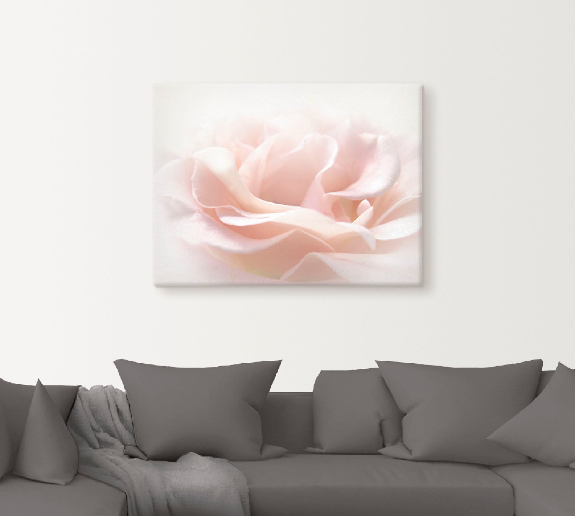 Artland Wandbild "Rose I", Blumen, (1 St.), als Alubild, Outdoorbild, Leinw günstig online kaufen