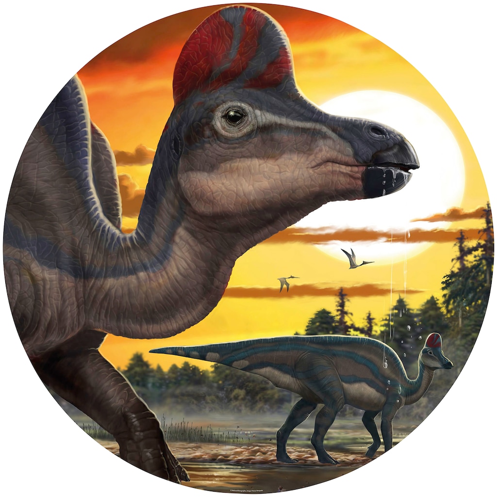Komar Fototapete »Corythosaurus Sunset«, bedruckt-Comic-Retro-mehrfarbig