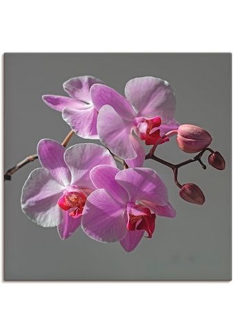 Artland Paveikslas »Orchideentraum« Blumen (1 ...