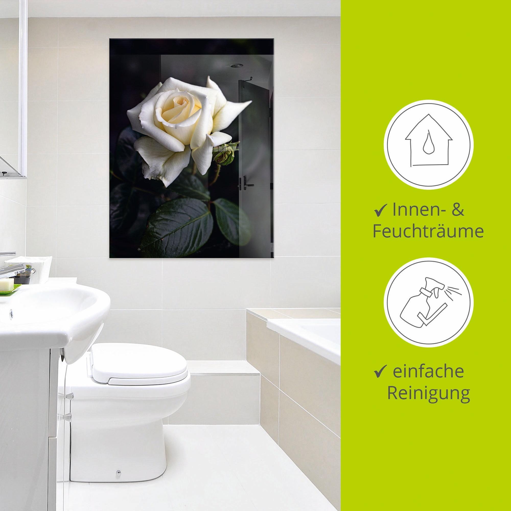 Artland Glasbild »Weiß-gelbe Rose«, Blumen, (1 St.), in verschiedenen Größen