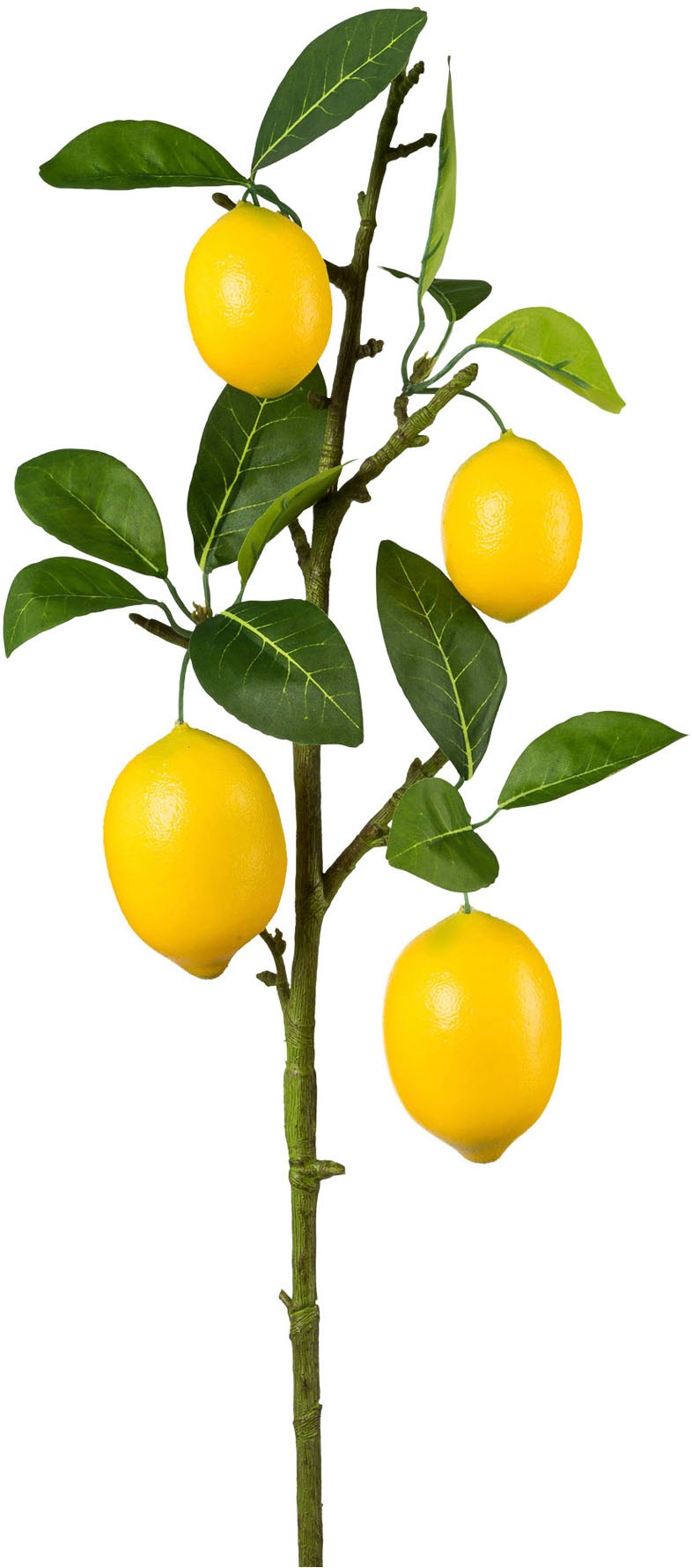 Creativ green Kunstzweig "Zitronenzweig" mit detailgetreuer Gestaltung günstig online kaufen