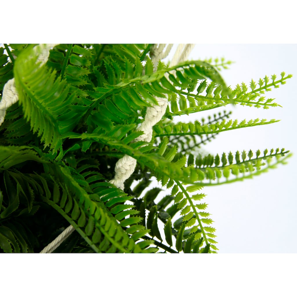 I.GE.A. Künstliche Zimmerpflanze »Farnbusch«