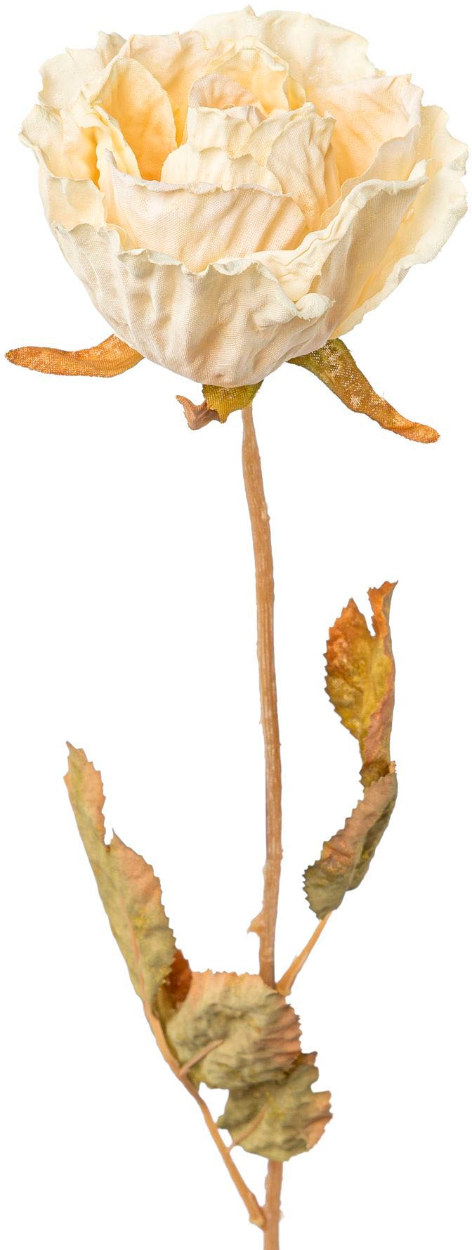 Creativ green Kunstblume »Rose«