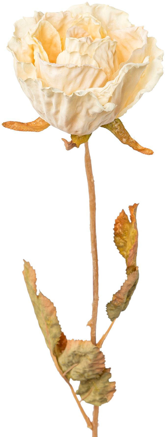 Creativ green Kunstblume "Rose" günstig online kaufen