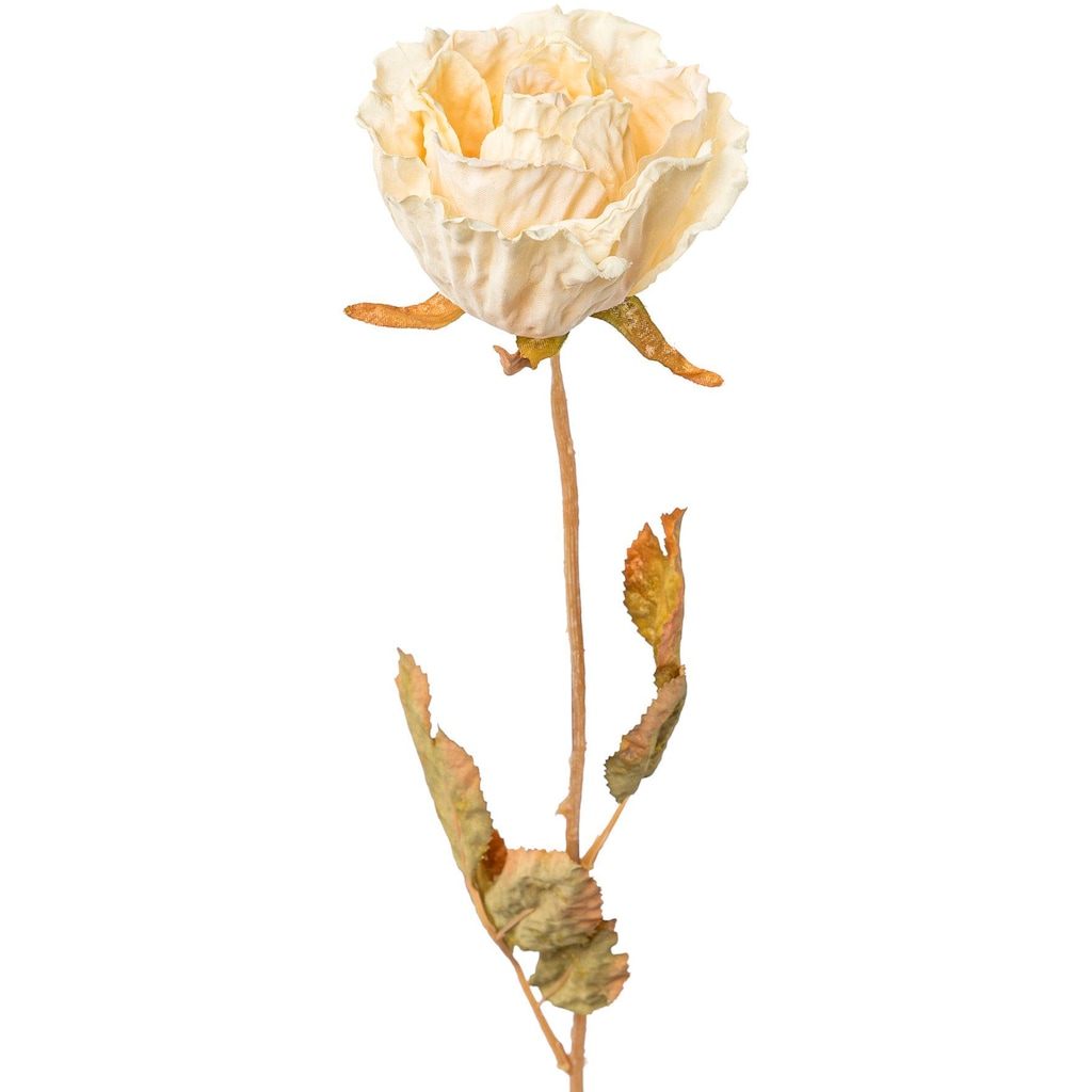 Creativ green Kunstblume »Rose«