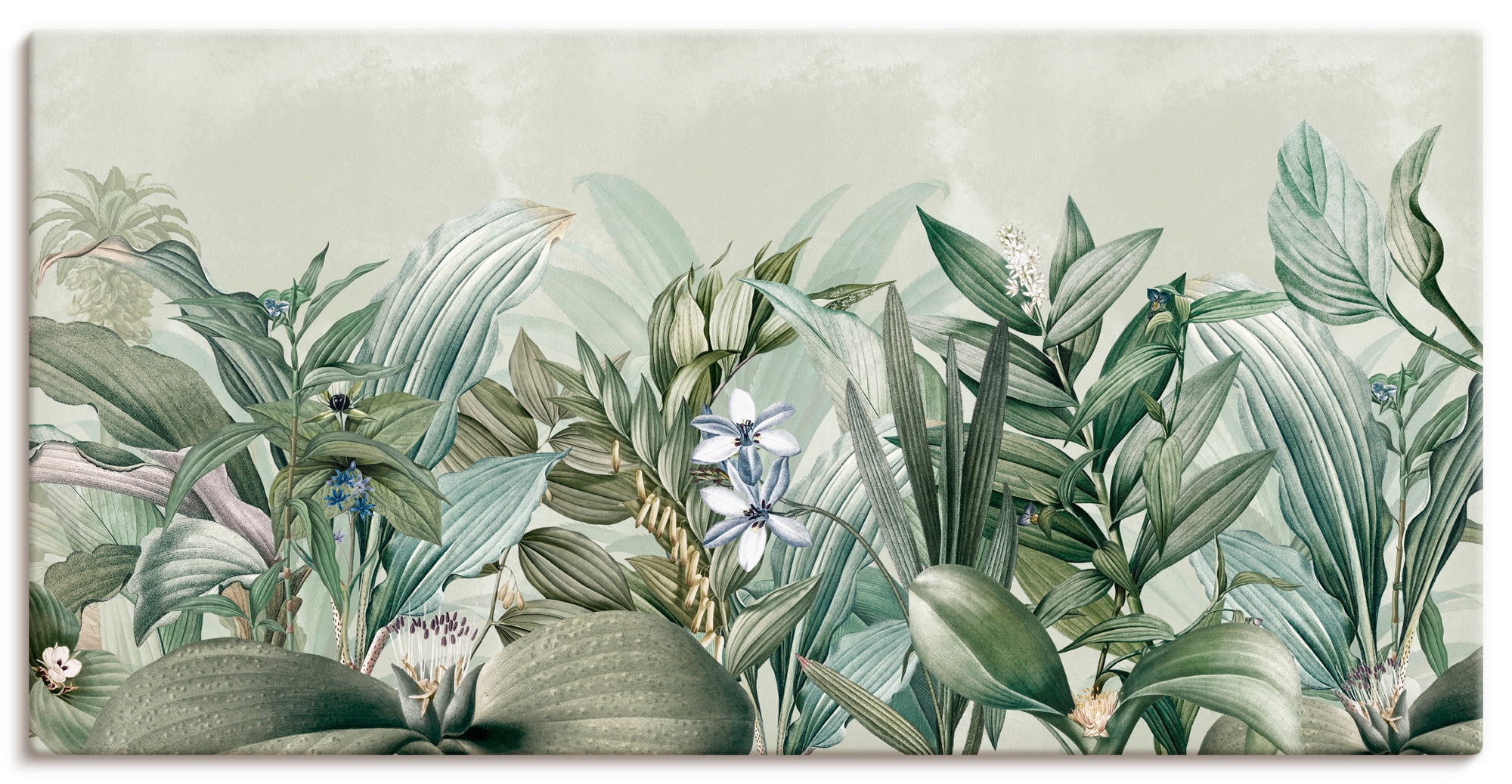 Wandbild ARTLAND "Exotischer Floral Garten Landschaft", farbe bild(er): grün, B:100cm H:50cm, Bilder, als Alubild, Leinwandbild, Poster, Wandaufkleber in verschied. Größen