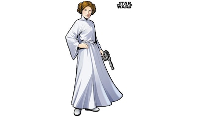 Vliestapete »Star Wars XXL Princess Leia«