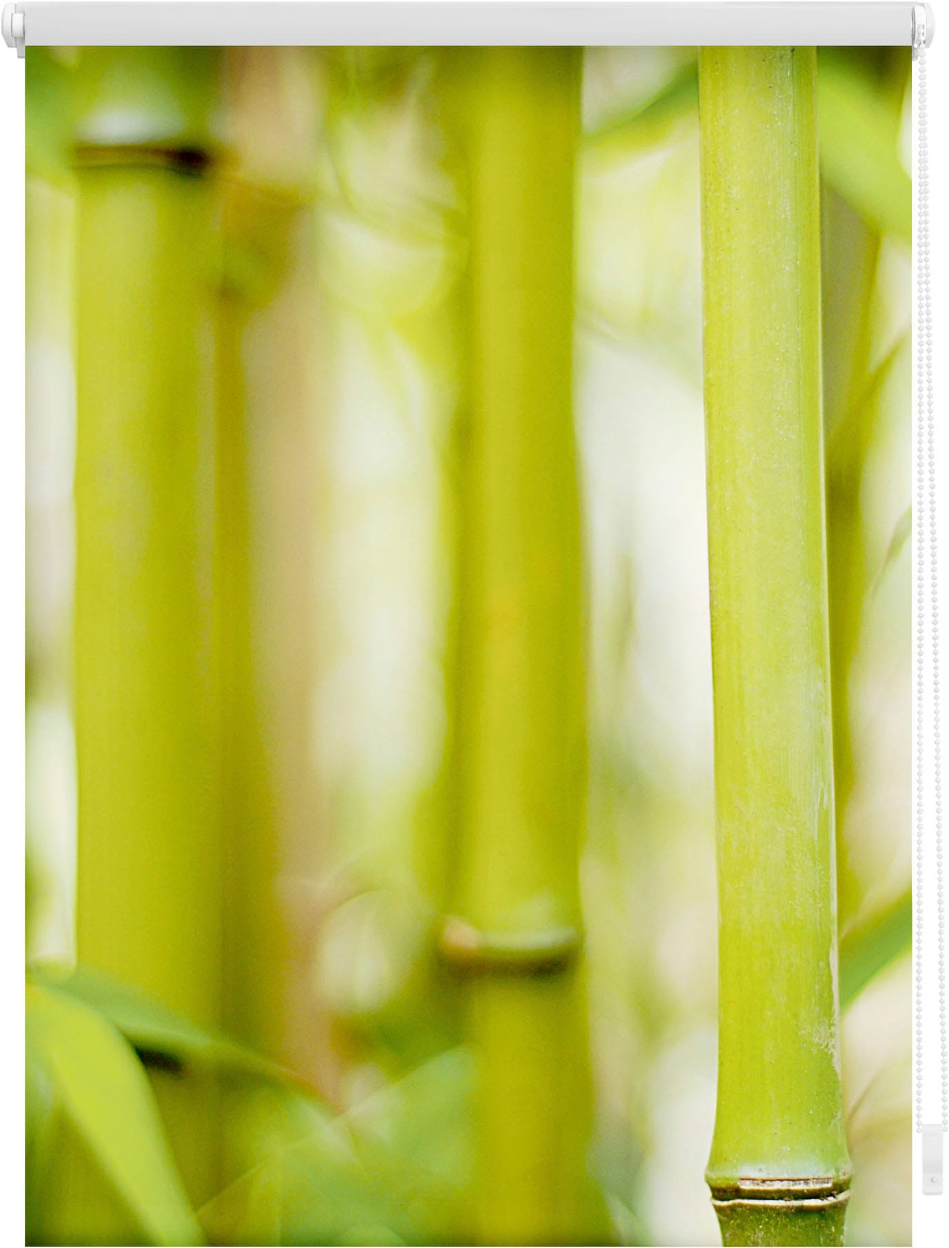 LICHTBLICK ORIGINAL Seitenzugrollo »Klemmfix Motiv Bambus«, Lichtschutz, ohne  Bohren, freihängend, bedruckt | BAUR | Seitenzugrollos