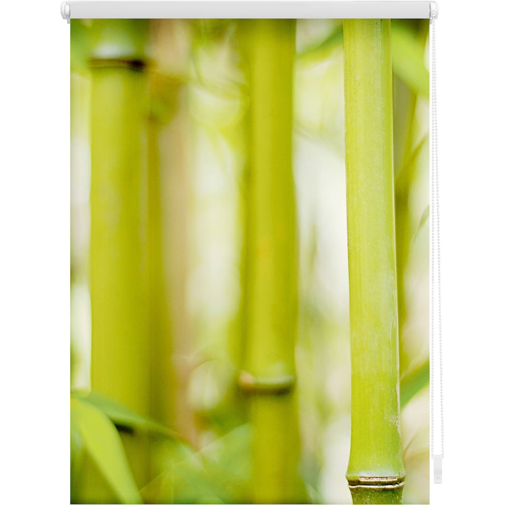 LICHTBLICK ORIGINAL Seitenzugrollo »Klemmfix Motiv Bambus«, Lichtschutz, ohne Bohren, freihängend