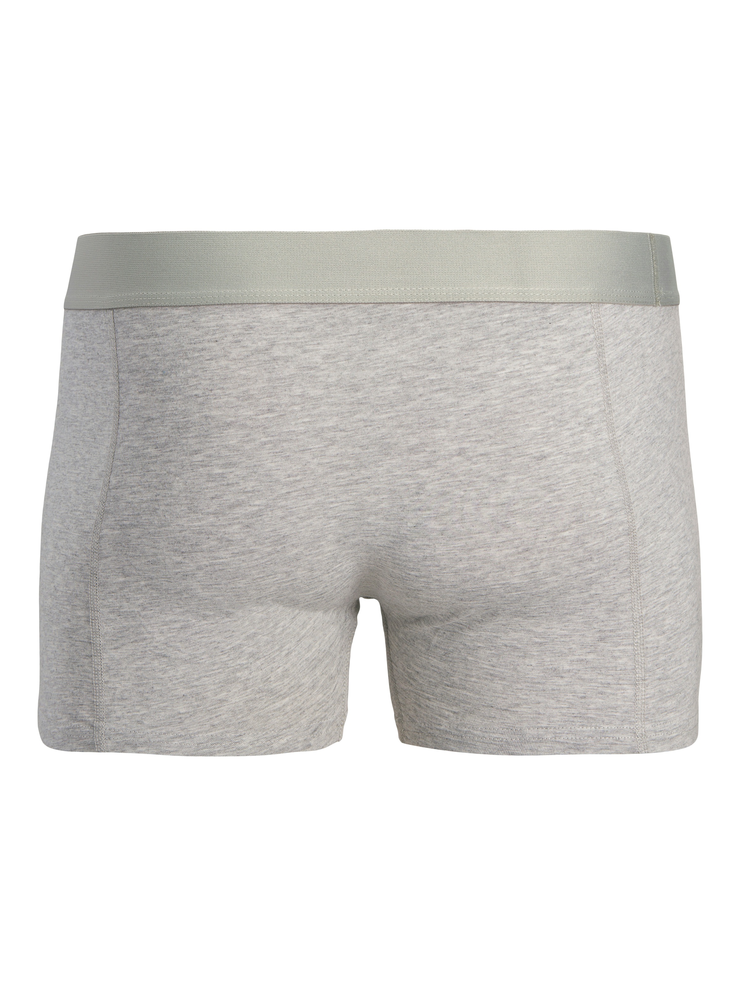 Jack & Jones Trunk »JACGABRIEL BAMBOO TRUNKS 3 PACK SN« Packung, 3 Stk.