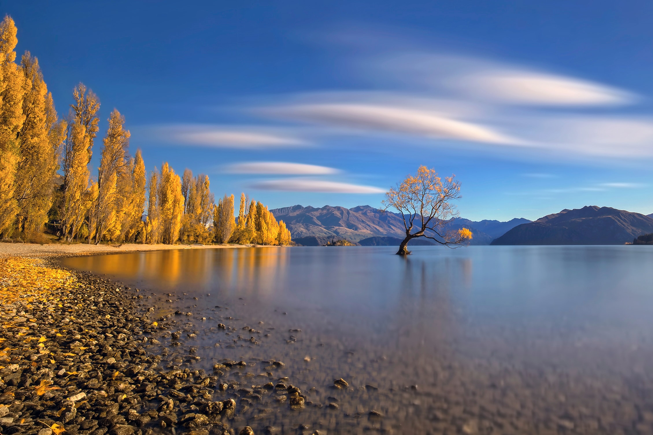 Papermoon Fototapete "Photo-Art HUA ZHU, HERBST IM SEE WANAKA"