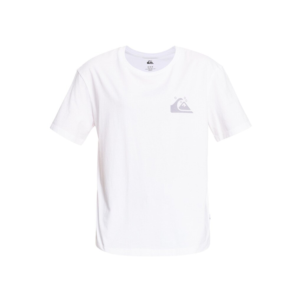 Quiksilver T-Shirt »Standard«