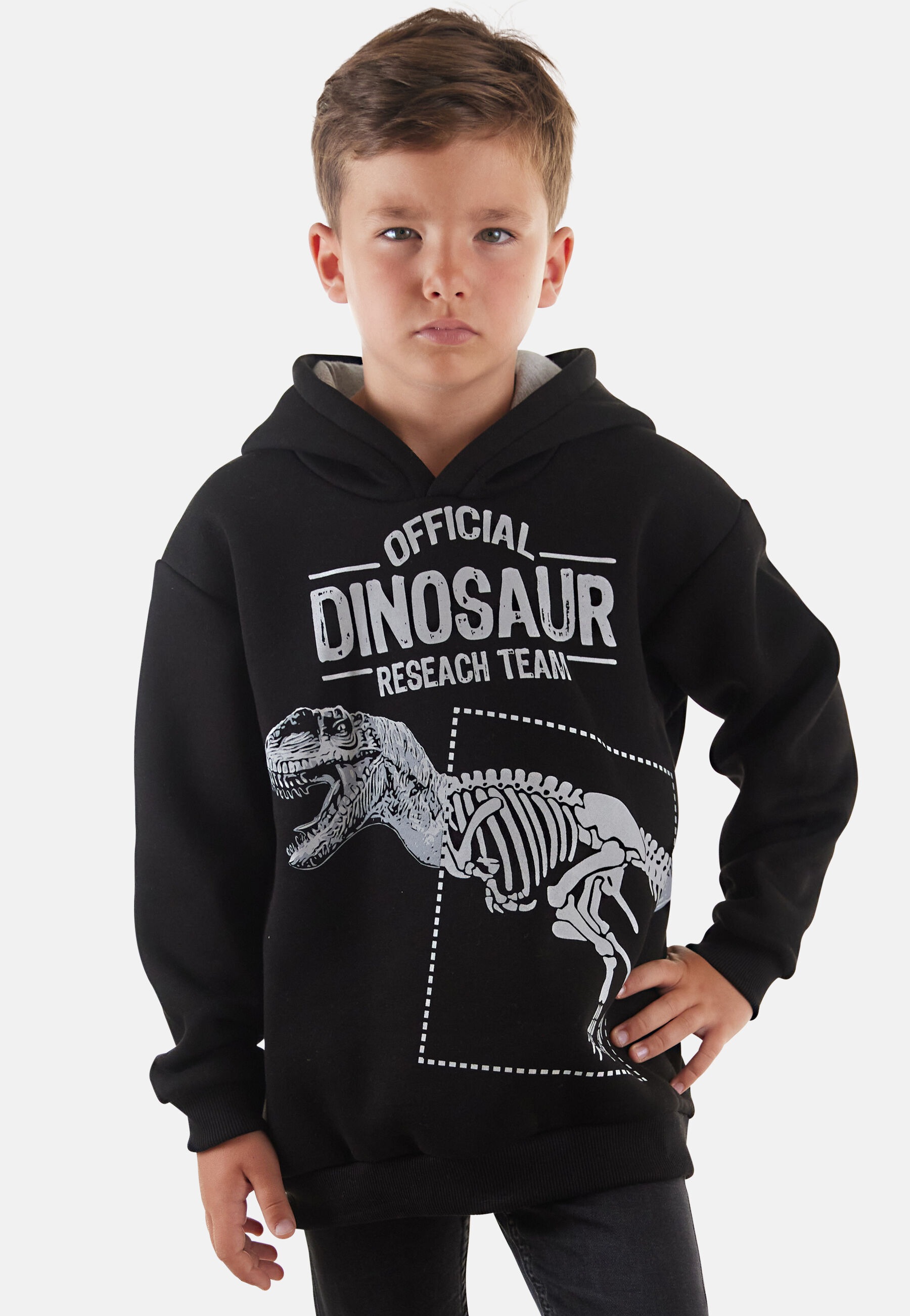 Denokids Kapuzenpullover »Dino Research«, mit Dinosaurier-Motiv