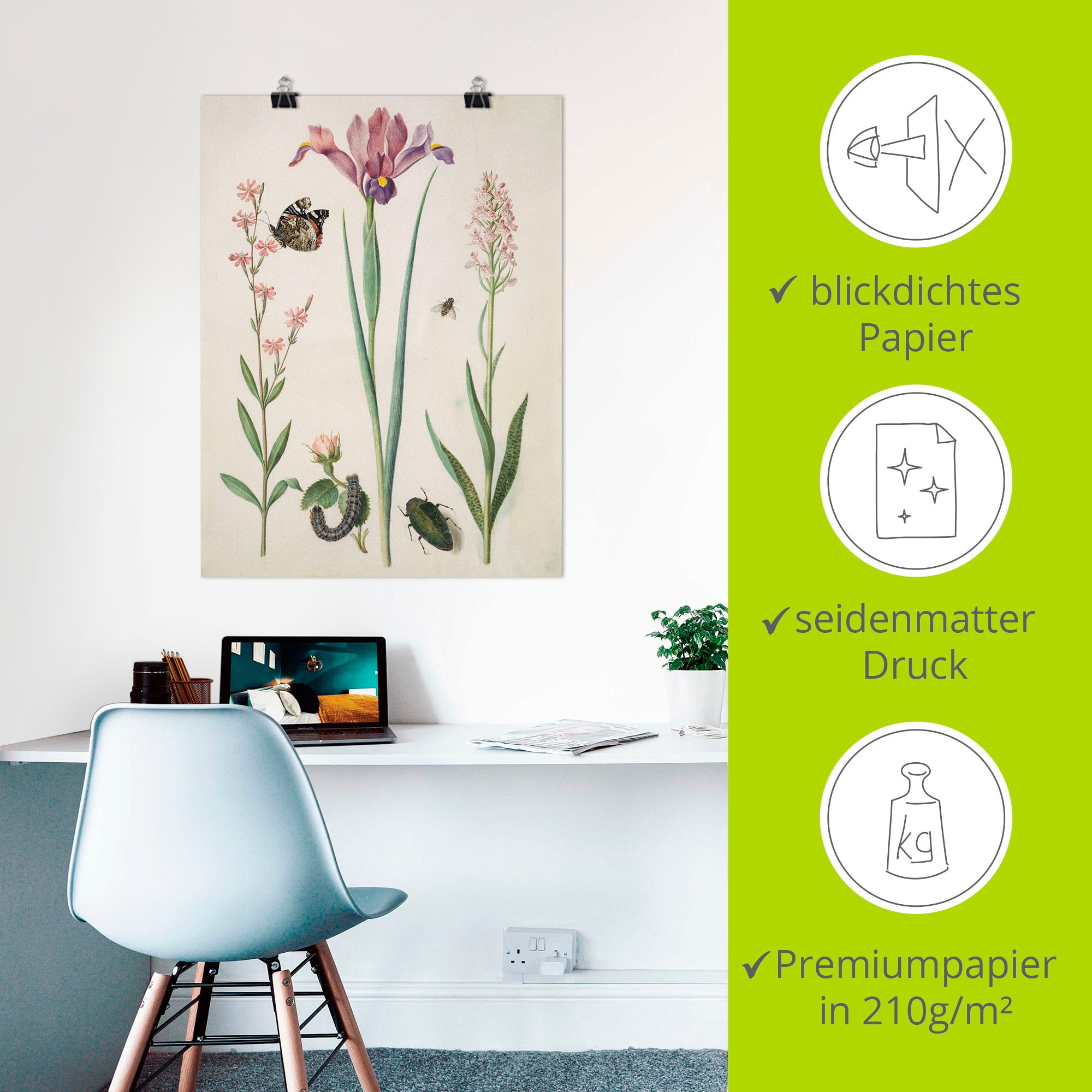 Artland Wandbild »Admiral, Rose Iris Knabenkraut.«, Pflanzen, (1 St.), als Poster, Wandaufkleber in verschied. Größen