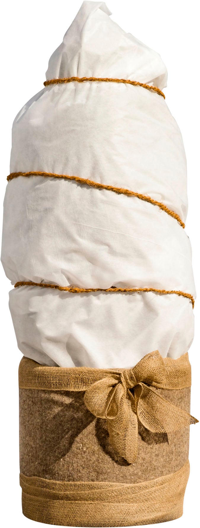 Windhager Winterschutzvlies "Winterschutz für Pflanzen, Vlieshaube, Frostschutz und Kälteschutz" UV stabilisiert und witterungsbeständig, 1,5x2 m, Stärke 200 g/m2