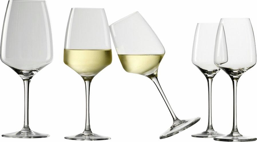 Stölzle Gläser-Set »EXPERIENCE«, (Set, 6 tlg.), außergewöhnliche Formgebung, 6-teilig