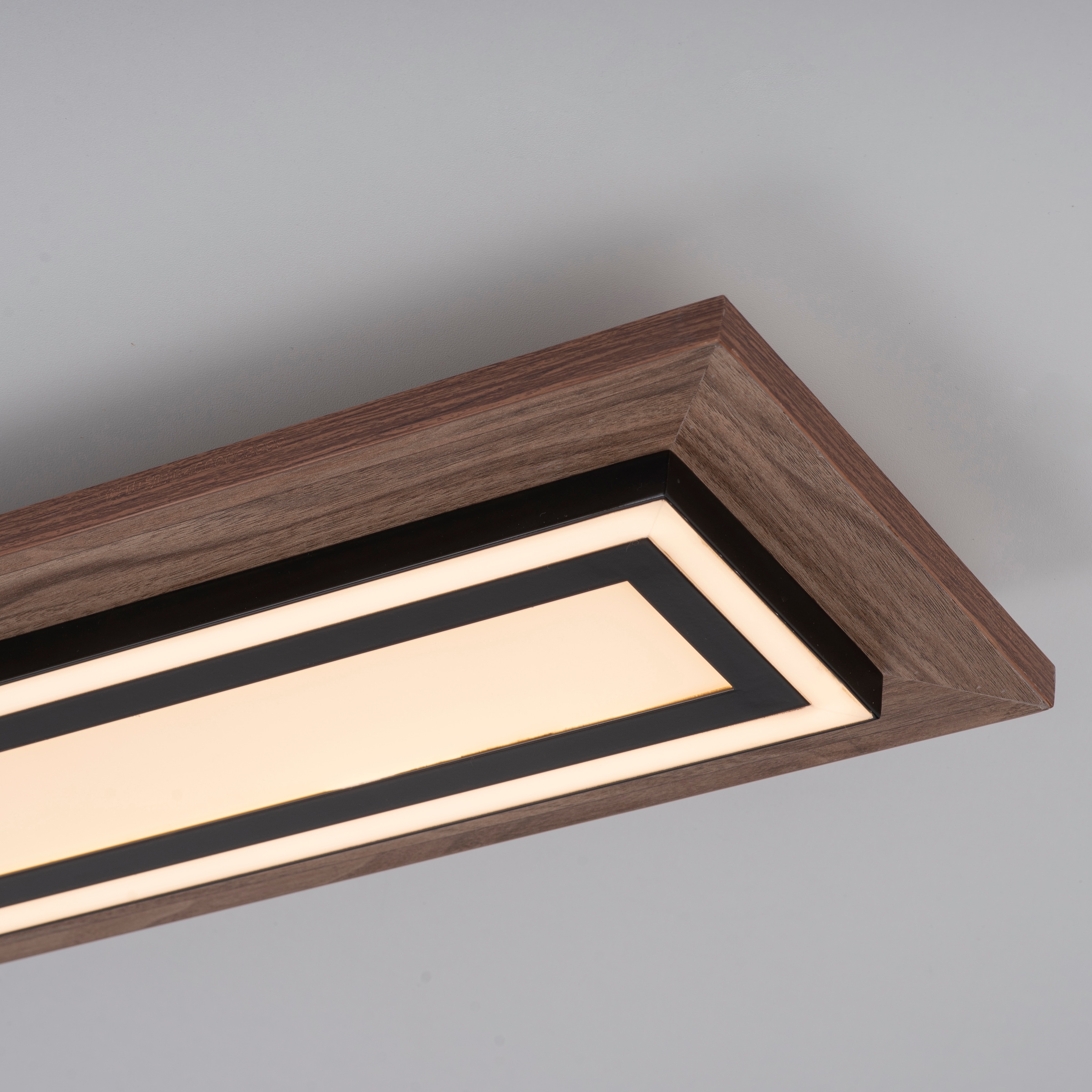 Paul Neuhaus Deckenleuchte »PALMA«, 2 flammig, Leuchtmittel LED-Board-LED-Board | LED fest integriert, CCT - über Fernbedienung, dimmbar über Fernbedienung, Serienschalter