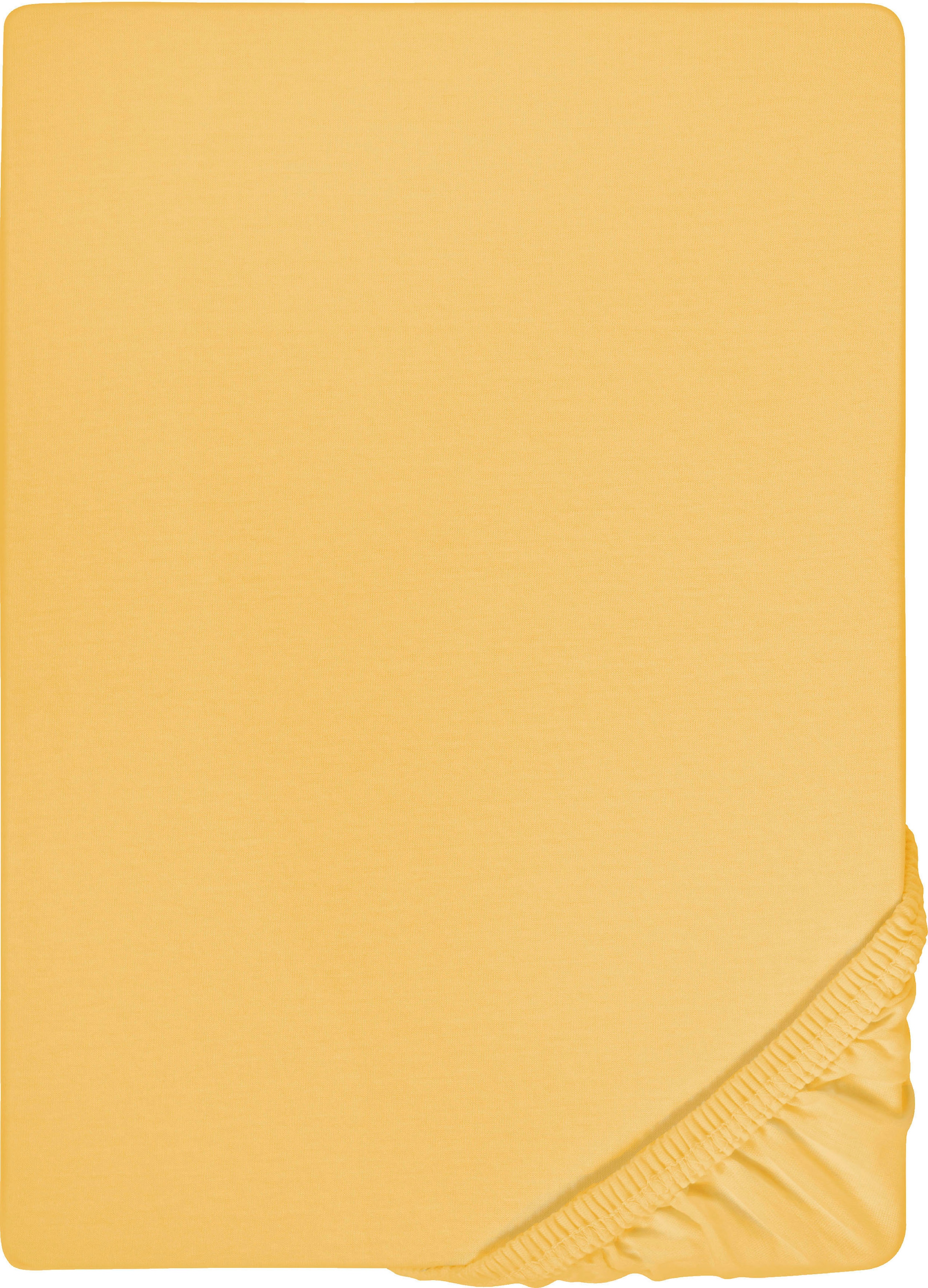 Biberna Spannbettlaken "0077866 Deluxe Jersey-Elastic Spannbetttuch 97% Baumwolle" Jersey mit Elasthan, Rundumgummi, bügelfrei, ab Größe 90 x 190 cm i