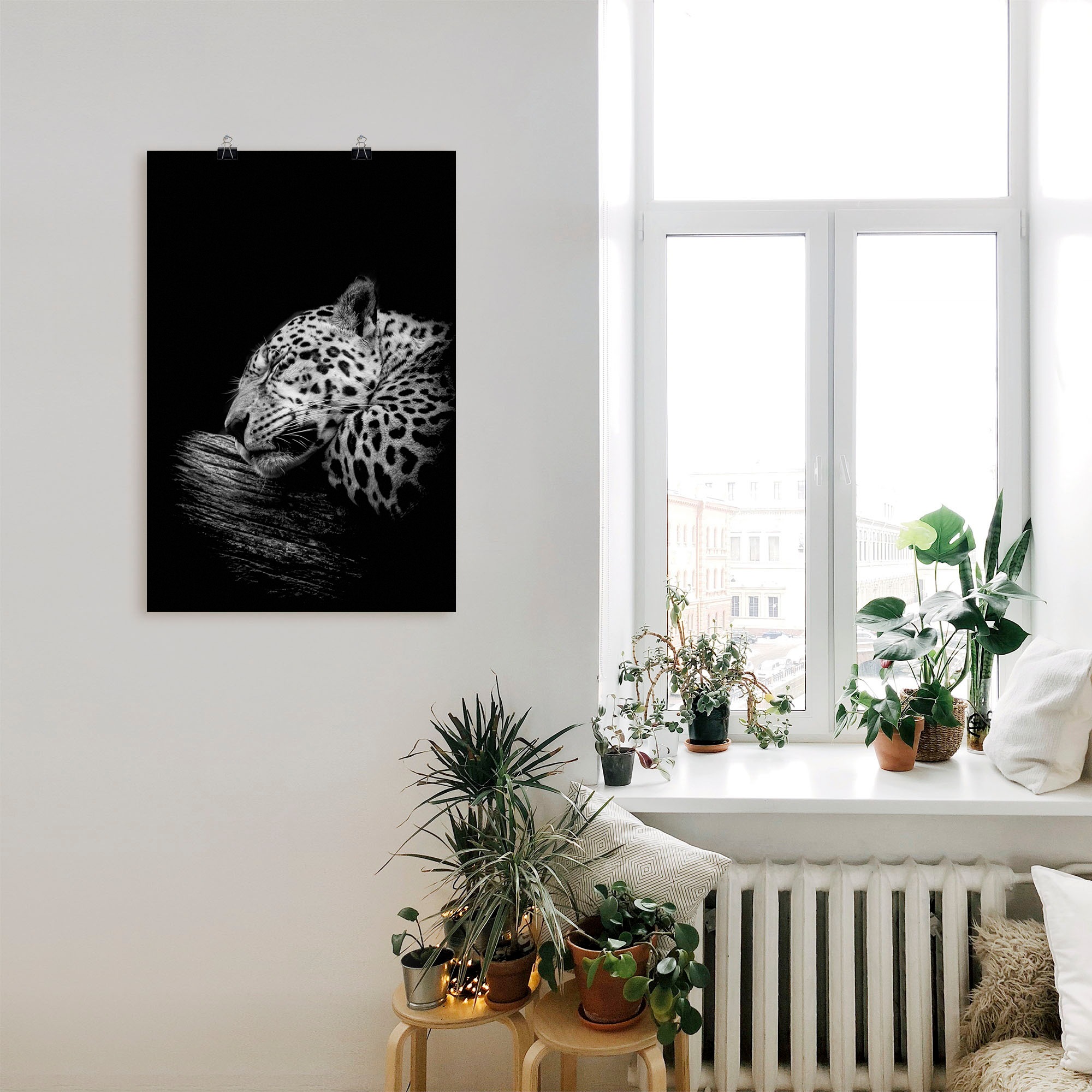 Artland Wandbild "Der schlafende Jaguar", Wildtiere, (1 St.), als Alubild, günstig online kaufen