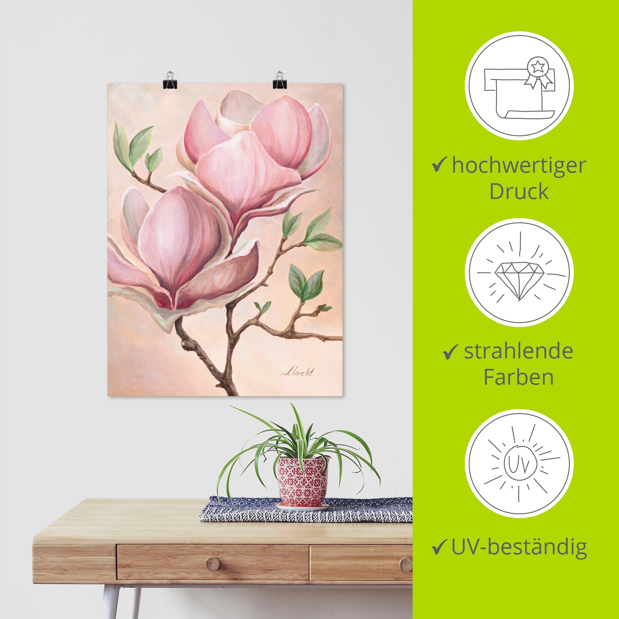 Artland Wandbild »Magnolienblüten«, Blumen, (1 St.), als Leinwandbild, Poster in verschied. Größen