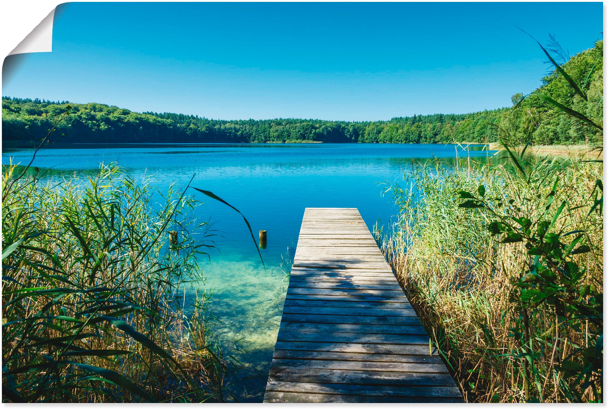 Artland Paveikslas »Landschaft ant See Steg« G...