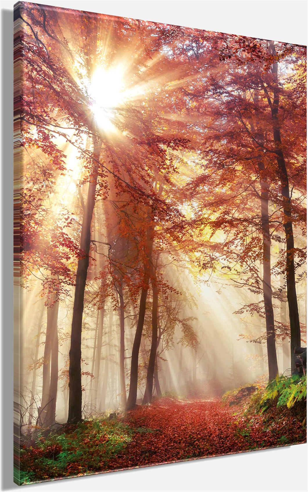 Bönninghoff Leinwandbild »Wandbild HERBSTWALD 46x61 cm – Leinwandbild Keilrahmen Deko modern« Wald 1 Stk. tlg. auf Keilrahmen gespannt