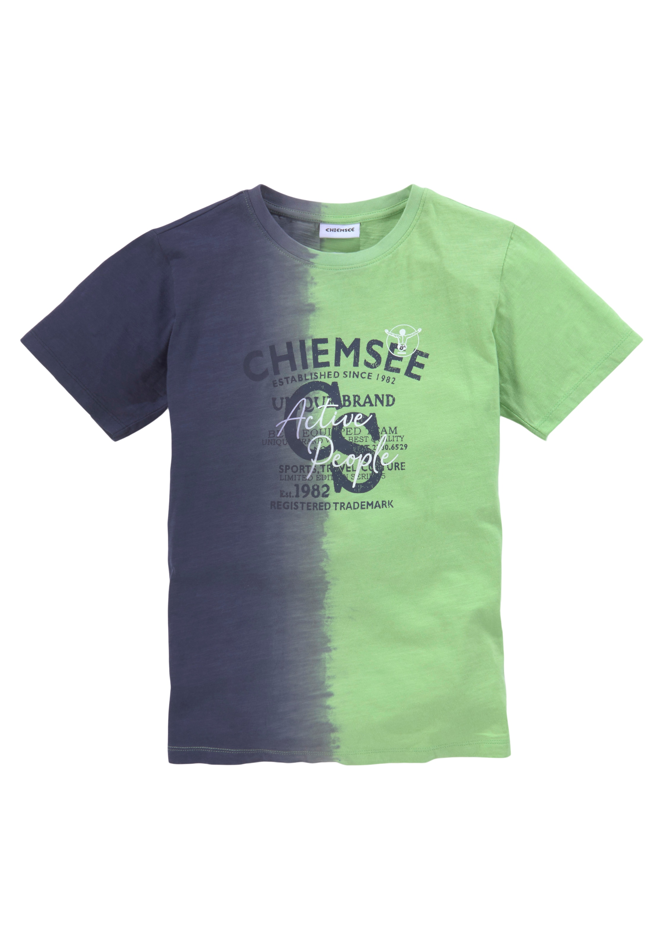 BAUR T-Shirt Farbverlauf mit ▷ vertikalem Chiemsee | »Farbverlauf«, für